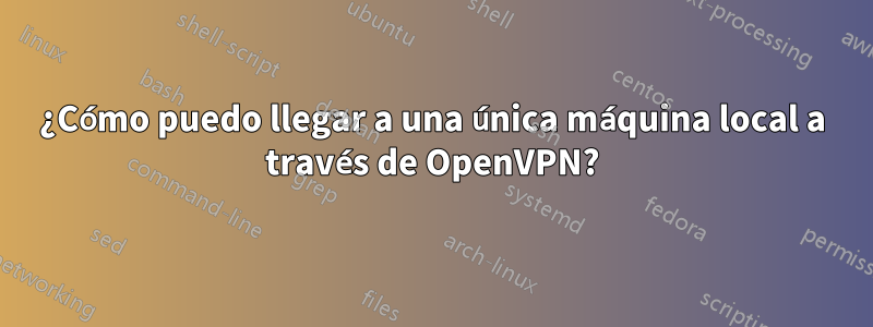 ¿Cómo puedo llegar a una única máquina local a través de OpenVPN?