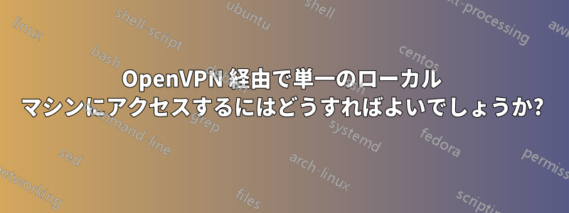 OpenVPN 経由で単一のローカル マシンにアクセスするにはどうすればよいでしょうか?