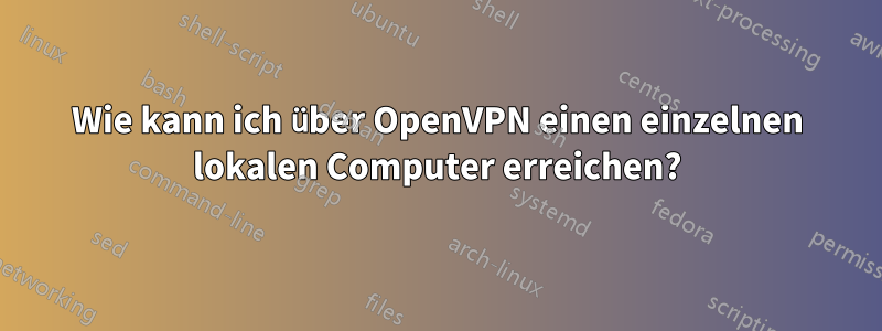 Wie kann ich über OpenVPN einen einzelnen lokalen Computer erreichen?