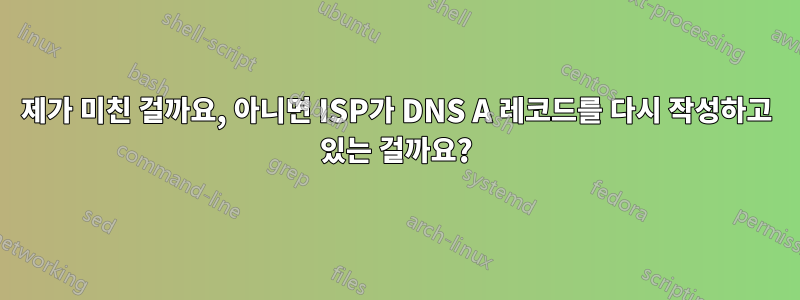 제가 미친 걸까요, 아니면 ISP가 DNS A 레코드를 다시 작성하고 있는 걸까요?