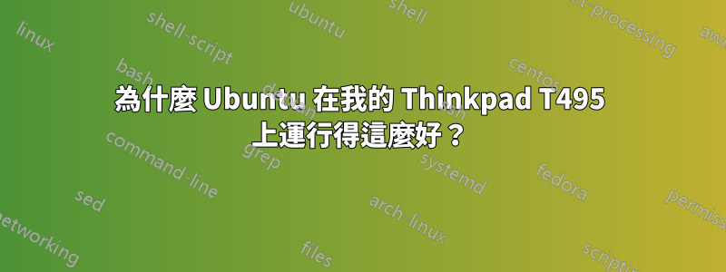 為什麼 Ubuntu 在我的 Thinkpad T495 上運行得這麼好？