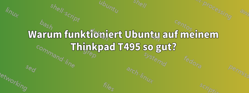 Warum funktioniert Ubuntu auf meinem Thinkpad T495 so gut?