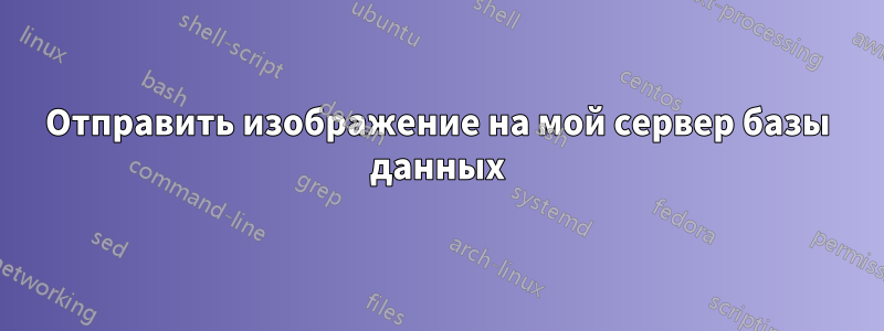 Отправить изображение на мой сервер базы данных