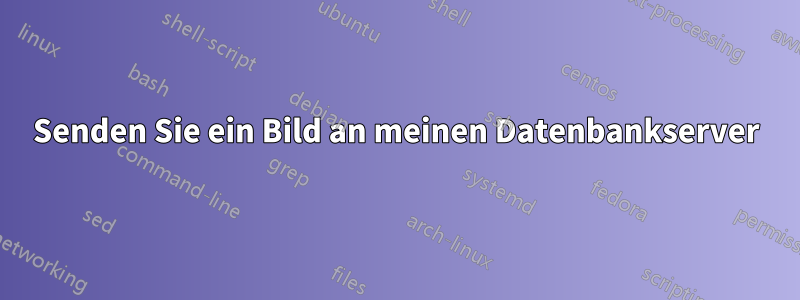 Senden Sie ein Bild an meinen Datenbankserver