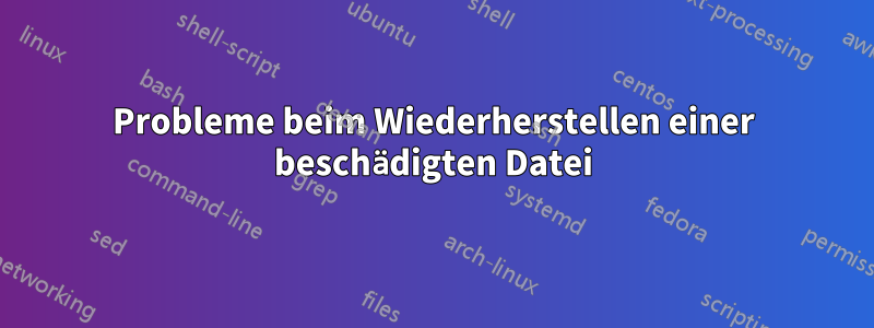 Probleme beim Wiederherstellen einer beschädigten Datei