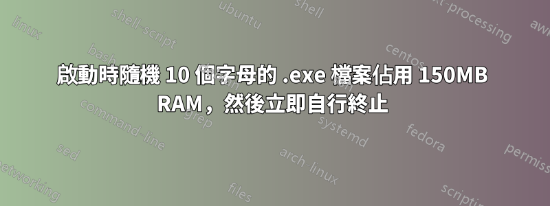 啟動時隨機 10 個字母的 .exe 檔案佔用 150MB RAM，然後立即自行終止