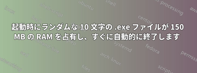 起動時にランダムな 10 文字の .exe ファイルが 150 MB の RAM を占有し、すぐに自動的に終了します 