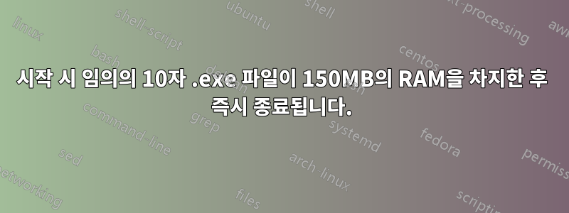 시작 시 임의의 10자 .exe 파일이 150MB의 RAM을 차지한 후 즉시 종료됩니다.