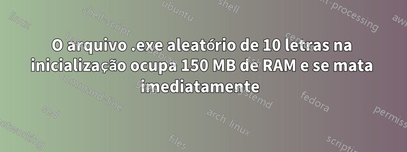 O arquivo .exe aleatório de 10 letras na inicialização ocupa 150 MB de RAM e se mata imediatamente 