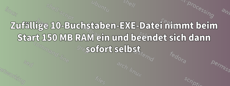 Zufällige 10-Buchstaben-EXE-Datei nimmt beim Start 150 MB RAM ein und beendet sich dann sofort selbst 