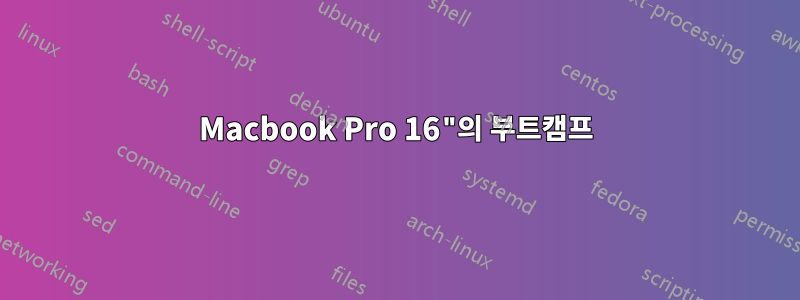 Macbook Pro 16"의 부트캠프