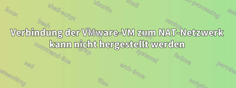 Verbindung der VMware-VM zum NAT-Netzwerk kann nicht hergestellt werden