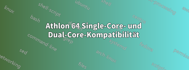 Athlon 64 Single-Core- und Dual-Core-Kompatibilität