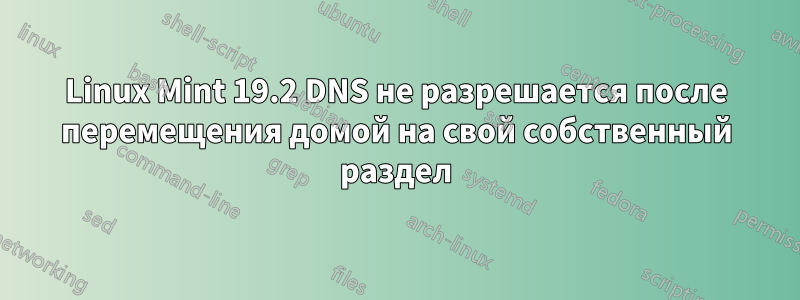 Linux Mint 19.2 DNS не разрешается после перемещения домой на свой собственный раздел