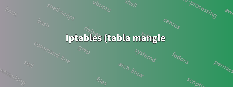 Iptables (tabla mangle) no puede detectar el tráfico de paquetes udp con restricciones de puerto de destino