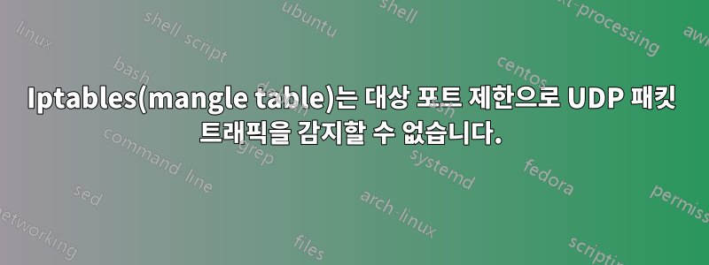 Iptables(mangle table)는 대상 포트 제한으로 UDP 패킷 트래픽을 감지할 수 없습니다.