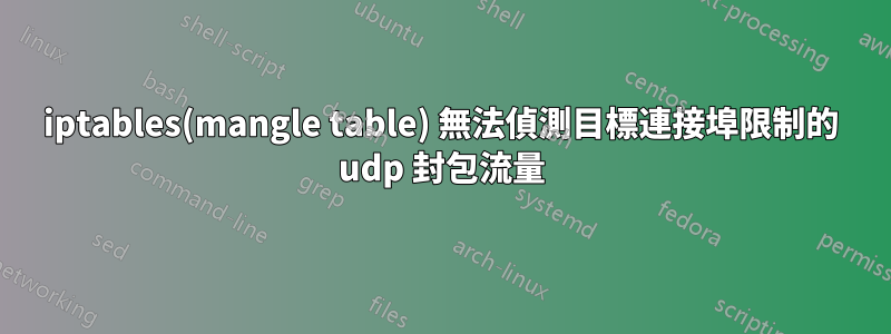 iptables(mangle table) 無法偵測目標連接埠限制的 udp 封包流量