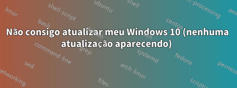 Não consigo atualizar meu Windows 10 (nenhuma atualização aparecendo) 