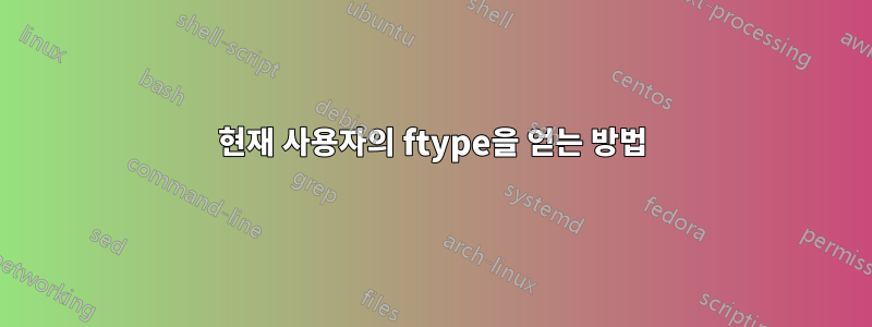 현재 사용자의 ftype을 얻는 방법