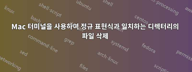 Mac 터미널을 사용하여 정규 표현식과 일치하는 디렉터리의 파일 삭제