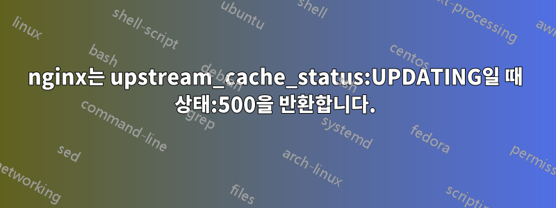 nginx는 upstream_cache_status:UPDATING일 때 상태:500을 반환합니다.