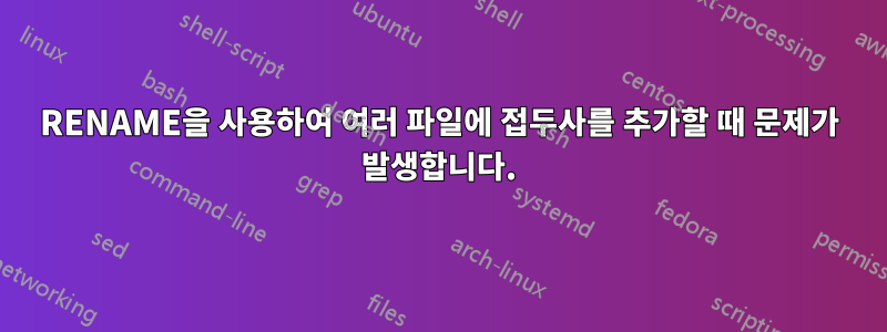 RENAME을 사용하여 여러 파일에 접두사를 추가할 때 문제가 발생합니다.