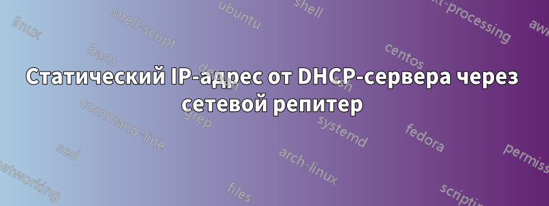 Статический IP-адрес от DHCP-сервера через сетевой репитер