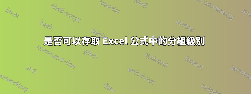 是否可以存取 Excel 公式中的分組級別