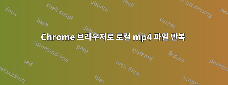 Chrome 브라우저로 로컬 mp4 파일 반복