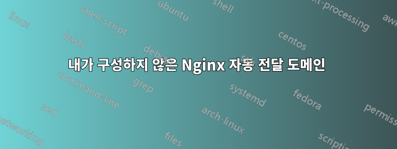 내가 구성하지 않은 Nginx 자동 전달 도메인