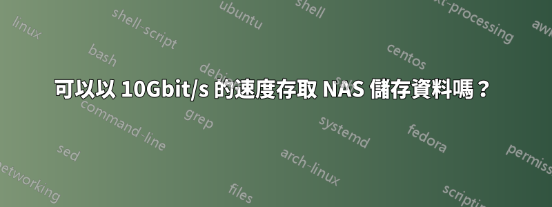 可以以 10Gbit/s 的速度存取 NAS 儲存資料嗎？