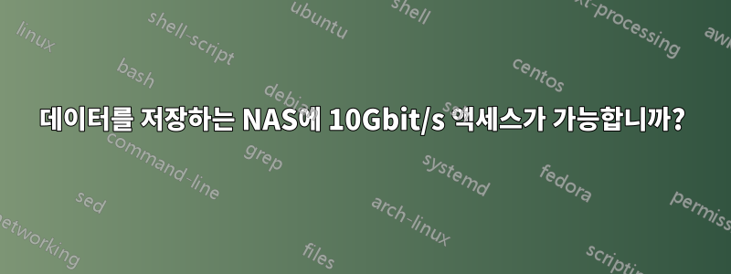 데이터를 저장하는 NAS에 10Gbit/s 액세스가 가능합니까?