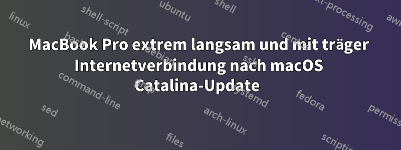 MacBook Pro extrem langsam und mit träger Internetverbindung nach macOS Catalina-Update 