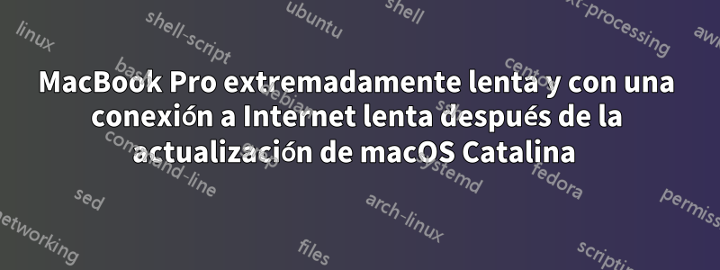 MacBook Pro extremadamente lenta y con una conexión a Internet lenta después de la actualización de macOS Catalina 