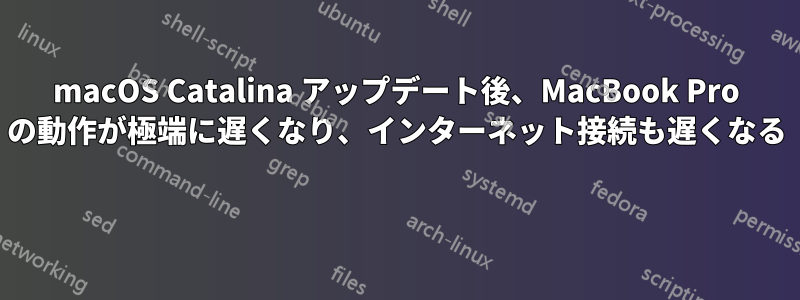 macOS Catalina アップデート後、MacBook Pro の動作が極端に遅くなり、インターネット接続も遅くなる 