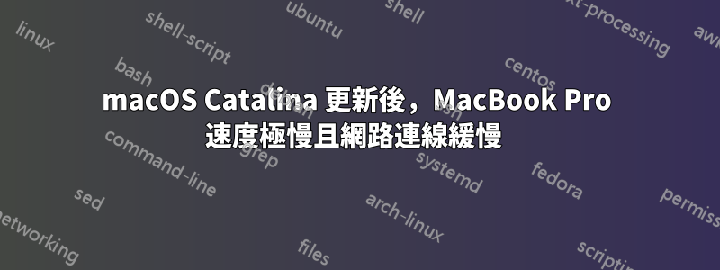 macOS Catalina 更新後，MacBook Pro 速度極慢且網路連線緩慢 