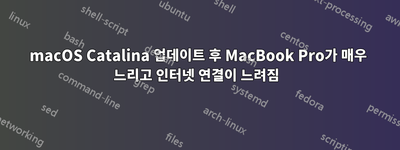 macOS Catalina 업데이트 후 MacBook Pro가 매우 느리고 인터넷 연결이 느려짐 