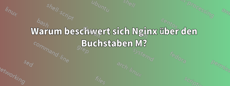 Warum beschwert sich Nginx über den Buchstaben M?