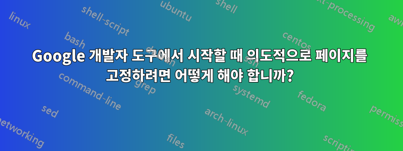 Google 개발자 도구에서 시작할 때 의도적으로 페이지를 고정하려면 어떻게 해야 합니까?