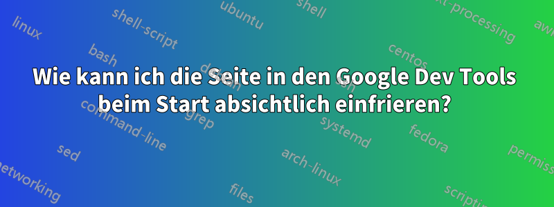 Wie kann ich die Seite in den Google Dev Tools beim Start absichtlich einfrieren?