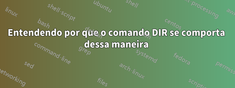 Entendendo por que o comando DIR se comporta dessa maneira