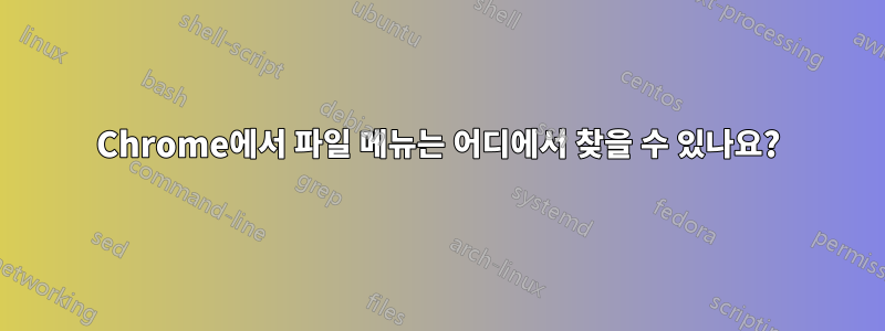 Chrome에서 파일 메뉴는 어디에서 찾을 수 있나요?