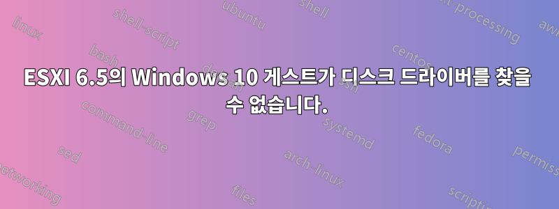 ESXI 6.5의 Windows 10 게스트가 디스크 드라이버를 찾을 수 없습니다.