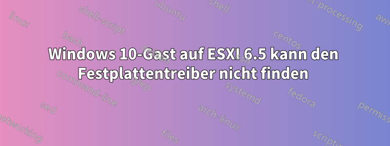 Windows 10-Gast auf ESXI 6.5 kann den Festplattentreiber nicht finden