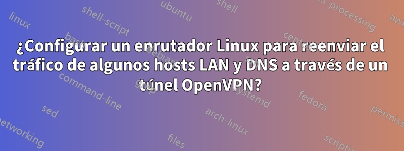 ¿Configurar un enrutador Linux para reenviar el tráfico de algunos hosts LAN y DNS a través de un túnel OpenVPN?