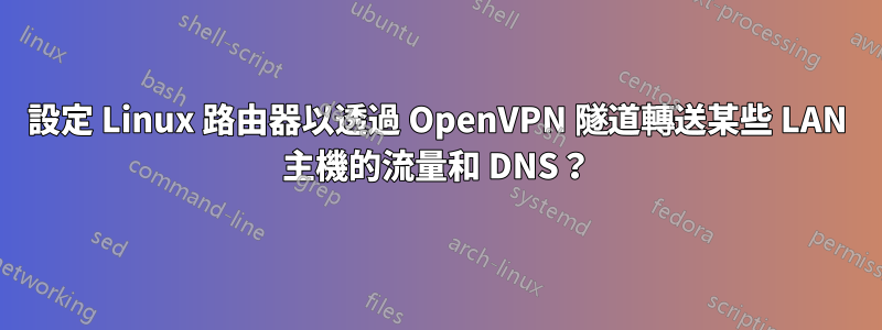 設定 Linux 路由器以透過 OpenVPN 隧道轉送某些 LAN 主機的流量和 DNS？