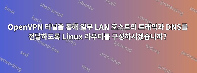 OpenVPN 터널을 통해 일부 LAN 호스트의 트래픽과 DNS를 전달하도록 Linux 라우터를 구성하시겠습니까?