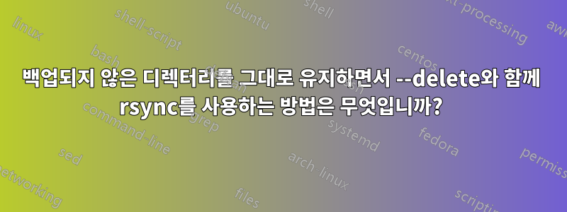 백업되지 않은 디렉터리를 그대로 유지하면서 --delete와 함께 rsync를 사용하는 방법은 무엇입니까?