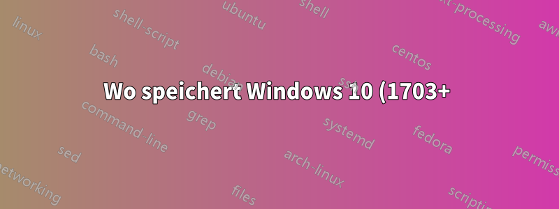 Wo speichert Windows 10 (1703+) die Positionen der Desktopsymbole?
