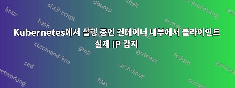 Kubernetes에서 실행 중인 컨테이너 내부에서 클라이언트 실제 IP 감지